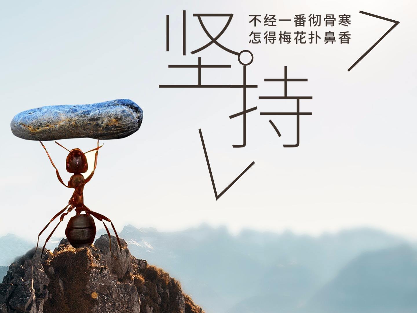 对于做网站坚持就是胜利 对于做网站坚持就是胜利