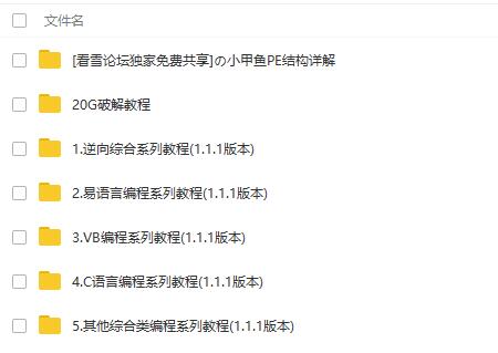 400G编程逆向视频教程分享 400G编程逆向视频教程分享