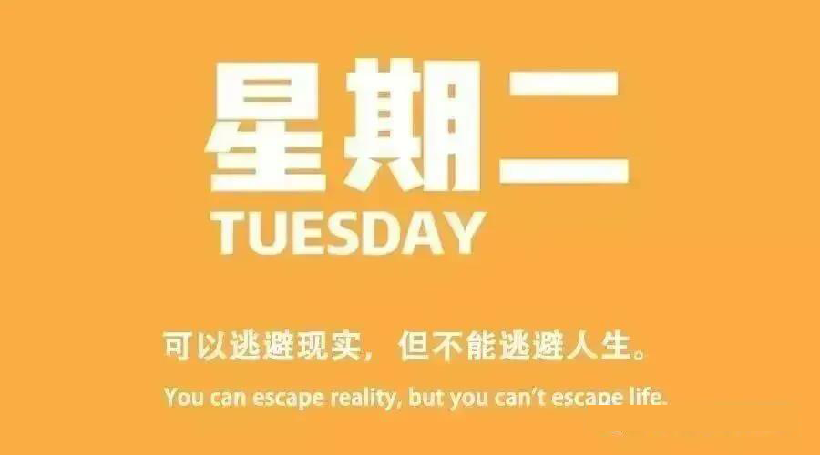 1月5日星期二,每日快报 1月5日星期二,60秒读懂世界,每日快报