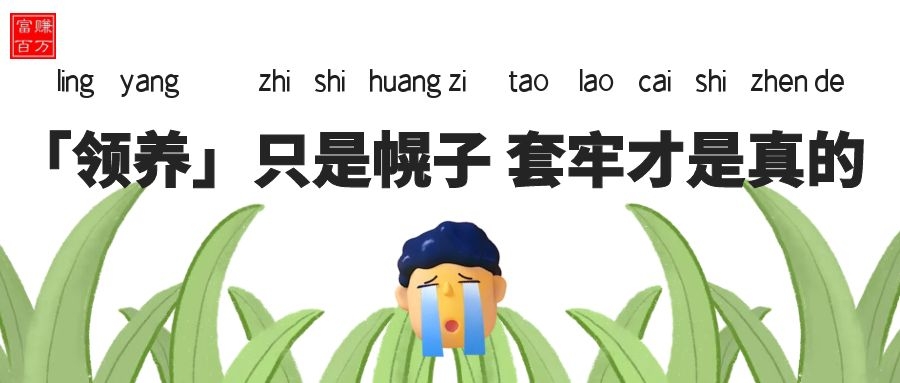 领养只是幌子,套牢才是真的 领养只是幌子,套牢才是真的
