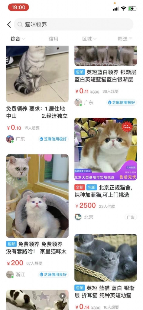 领养只是幌子,套牢才是真的 领养只是幌子,套牢才是真的