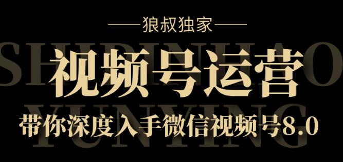 视频号运营课8.0,深度入手微信视频号 视频号运营课8.0,深度入手微信视频号