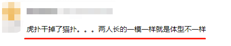 爷青结!曾经全国最火的很黄很暴力的猫扑,无了!(图5) 图片