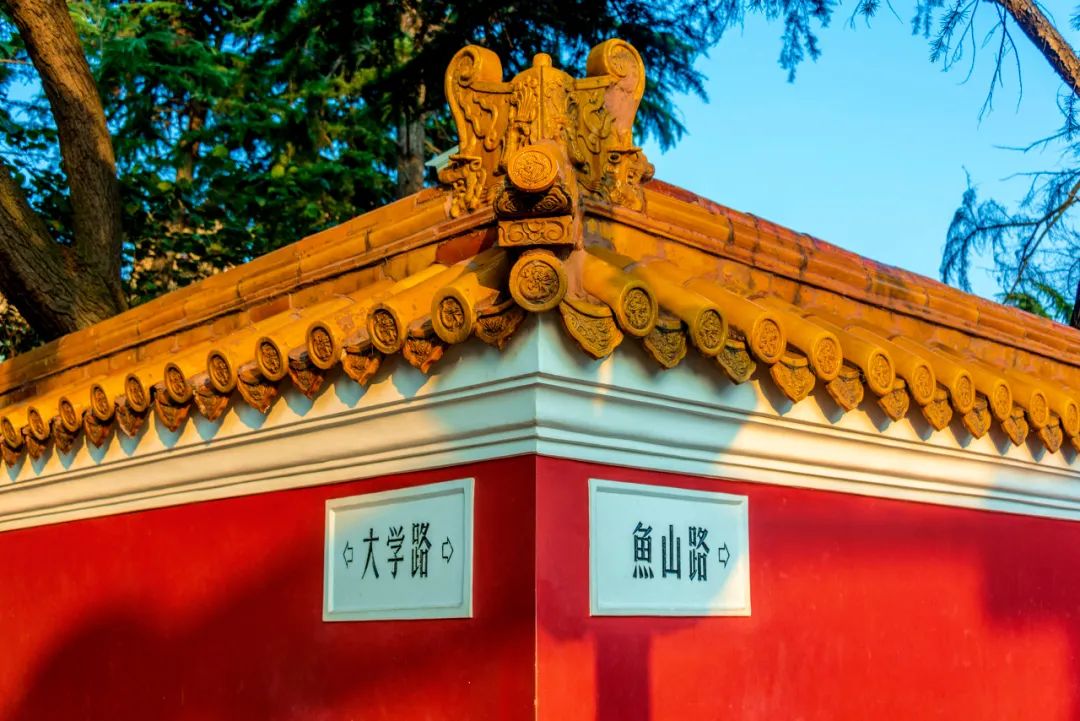 忽然,想去青岛了(图27) 忽然,想去青岛了(图27)
