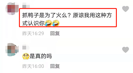 某女网红被AI合成“抓鸭子”进不雅视频 某女网红被AI合成“抓鸭子”进不雅视频