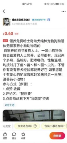 如何通过闲鱼引流微信成交精准锁定宠物粉! 引流 经验心得 第2张 如何通过闲鱼引流微信成交精准锁定宠物粉! 引流 经验心得 第2张