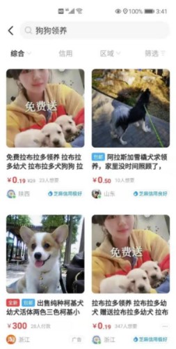如何通过闲鱼引流微信成交精准锁定宠物粉! 引流 经验心得 第1张 如何通过闲鱼引流微信成交精准锁定宠物粉! 引流 经验心得 第1张