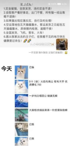 如何通过闲鱼引流微信成交精准锁定宠物粉! 引流 经验心得 第3张 如何通过闲鱼引流微信成交精准锁定宠物粉! 引流 经验心得 第3张