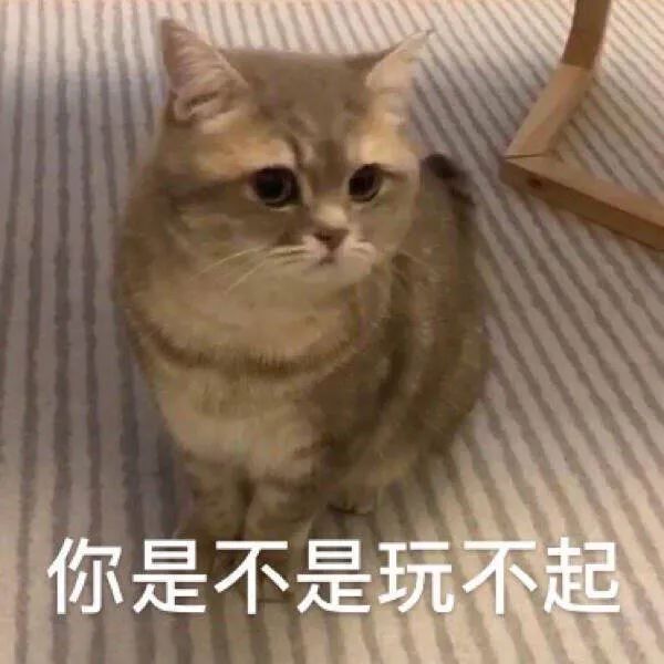 又一网红被抓,曾创造网络第一流行语!(图4) 图片