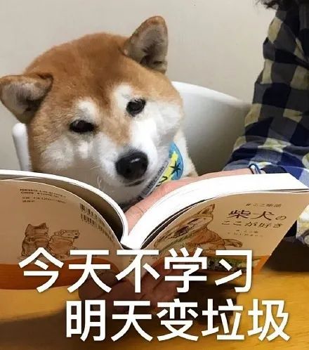 又一网红被抓,曾创造网络第一流行语!(图24) 图片