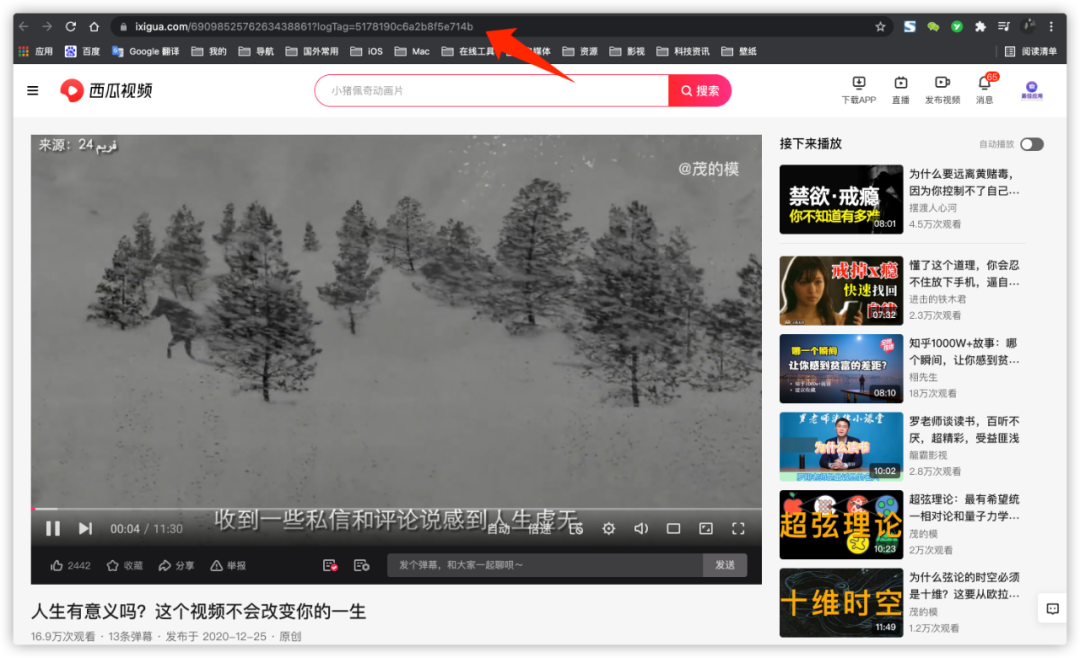 分享一个能解析下载各大视频平台的网站,支持B站、抖音、西瓜等(图5) 图片