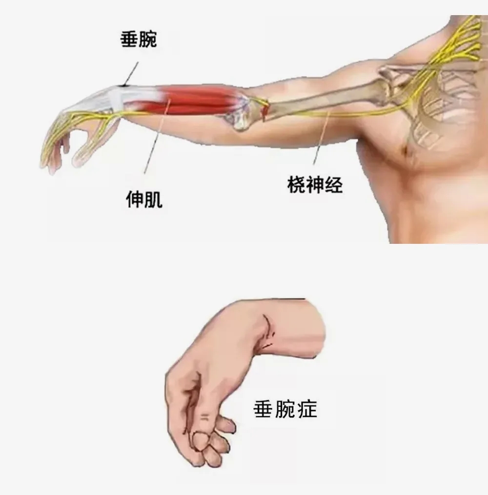 点击查看原图 9.webp.jpg