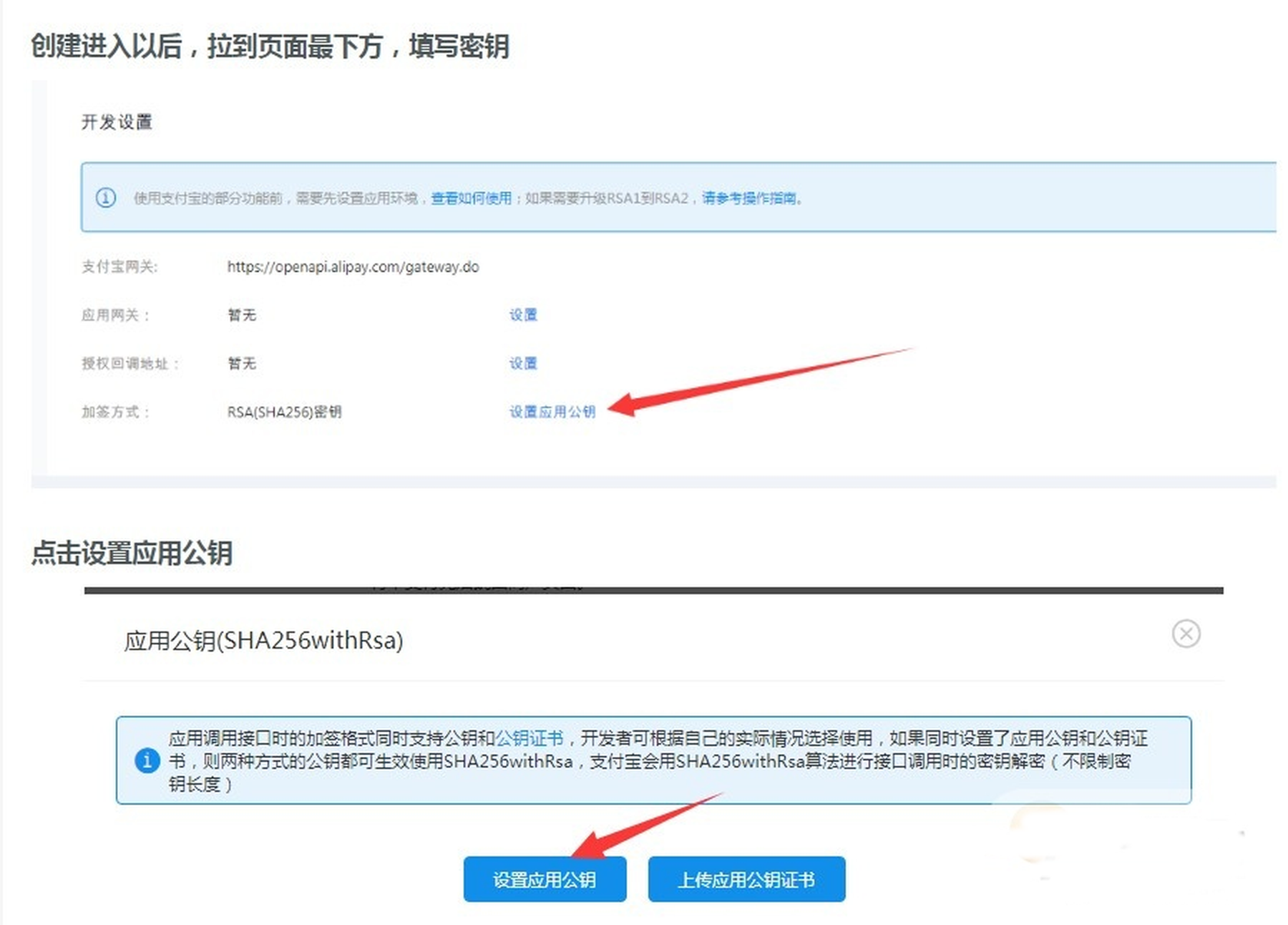 Ripro主题支付宝当面付(免签约)详细教程 Ripro主题支付宝当面付(免签约)详细教程