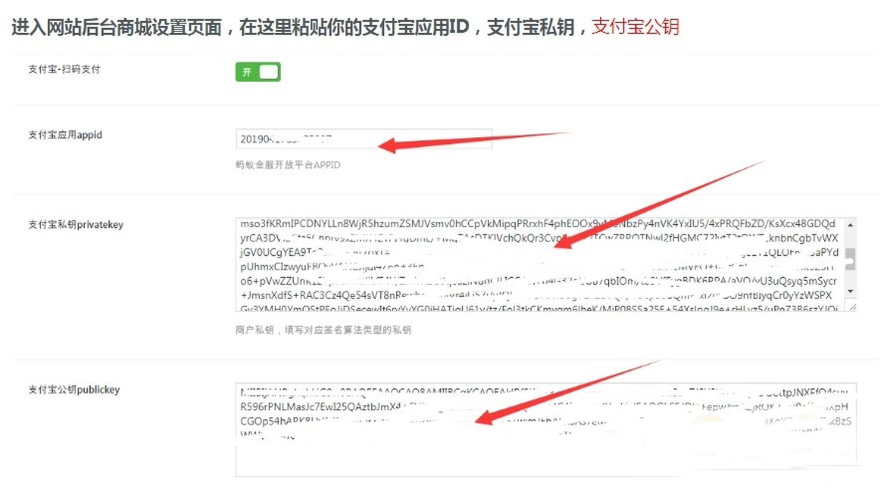 Ripro主题支付宝当面付(免签约)详细教程 Ripro主题支付宝当面付(免签约)详细教程