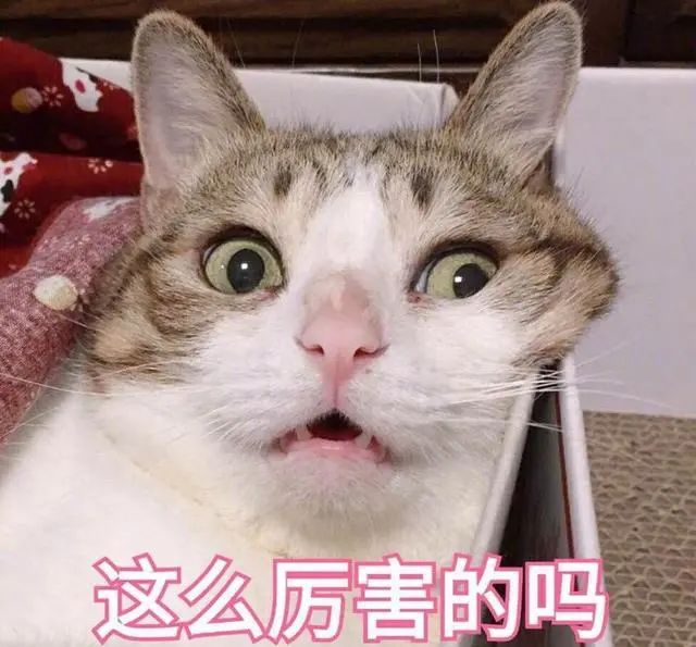 win 11之后,又来了一个新版Windows!微软这是想统一苹果和安卓啊(图4) 图片