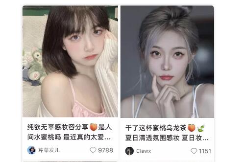 5000字详解小红书热门领域以及变现模式 小红书 经验心得 第10张 5000字详解小红书热门领域以及变现模式 小红书 经验心得 第10张