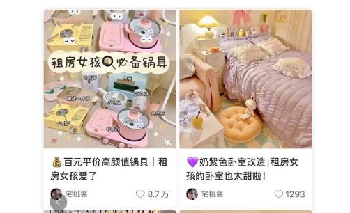 5000字详解小红书热门领域以及变现模式 小红书 经验心得 第23张 5000字详解小红书热门领域以及变现模式 小红书 经验心得 第23张