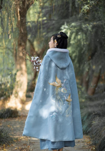 汉服视频下载器,领略汉服之美(内附几千张高质量汉服小姐姐图片)  汉服视频下载器,领略汉服之美(内附几千张高质量汉服小姐姐图片)