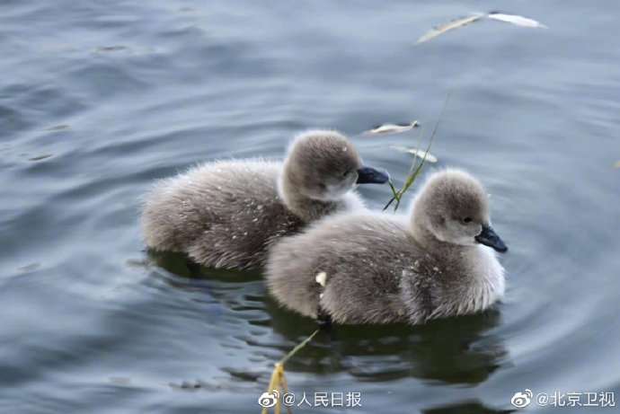 国内视频栏目突袭各类外卖店家