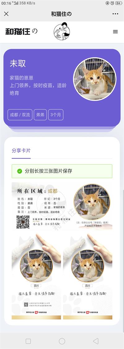内核流浪猫流浪狗宠物领养平台H5源码 内核流浪猫流浪狗宠物领养平台H5源码