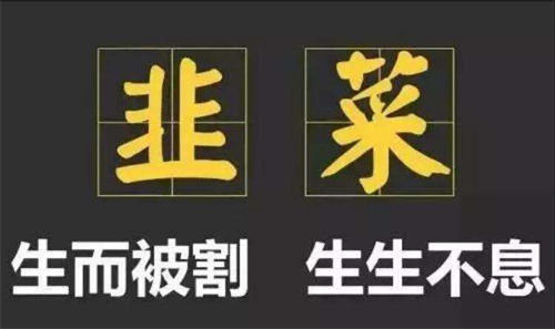一直在找项目的人,我劝你一定要明白这几点 网赚 互联网 好文分享 第2张 一直在找项目的人,我劝你一定要明白这几点 网赚 互联网 好文分享 第2张