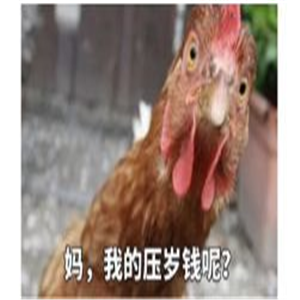 抖音2020过年要红包表情包分享 抖音2020过年要红包表情包分享