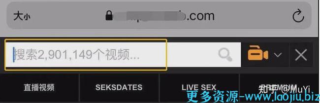 全球最大成人网站(P站)老板(菲拉斯·安图恩)豪宅被烧 全球最大成人网站(P站)老板(菲拉斯·安图恩)豪宅被烧