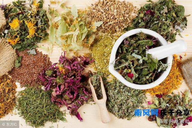 蜈蚣咬了怎么办(蜈蚣咬了怎么处理方法)