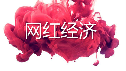 我是如何靠网红挣到20W的 网红 网赚 经验心得 第1张 我是如何靠网红挣到20W的 网红 网赚 经验心得 第1张