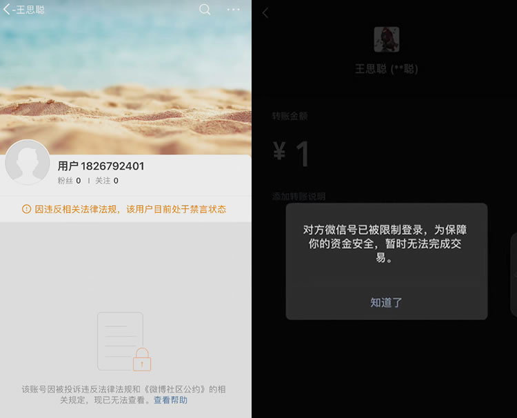 王思聪疑似全网炸号 个人IP 科技大佬 微新闻 第1张 王思聪疑似全网炸号 个人IP 科技大佬 微新闻 第1张