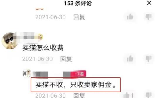 抖音热门同城副业项目,无脑操作一天500+ 抖音热门同城副业项目,无脑操作一天500+