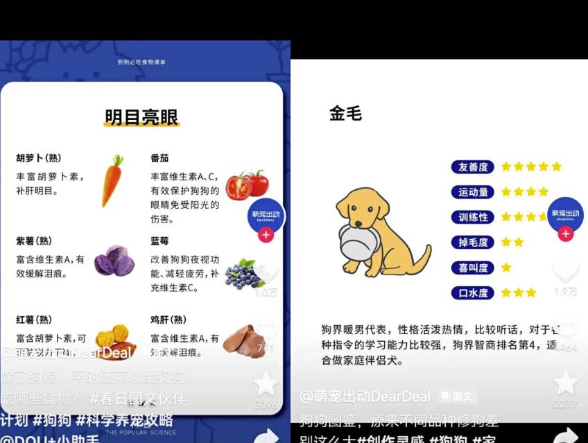 抖音种草号项目拆解:图文种草号实操教程分享,小白看完直接上手! 抖音种草号项目拆解:图文种草号实操教程分享,小白看完直接上手!
