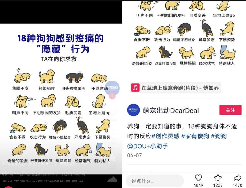抖音种草号项目拆解:图文种草号实操教程分享,小白看完直接上手! 抖音种草号项目拆解:图文种草号实操教程分享,小白看完直接上手!